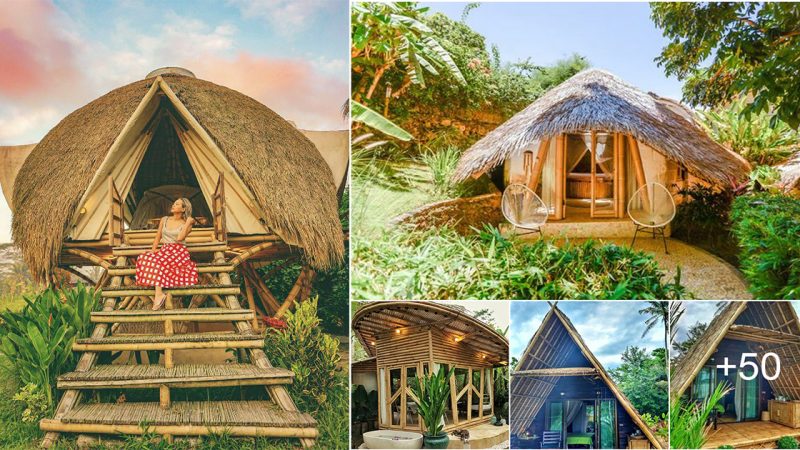 51 Fantastic Tiny Bamboo Home Designs