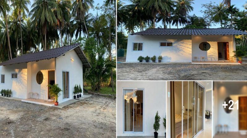 50 Sqm Minimalist Farmhouse in a Shady Coconut Grove