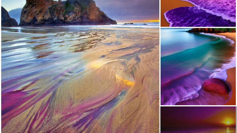 The Bizarre Beach Where the Sand is Purple – Nature’s Unique Wonder
