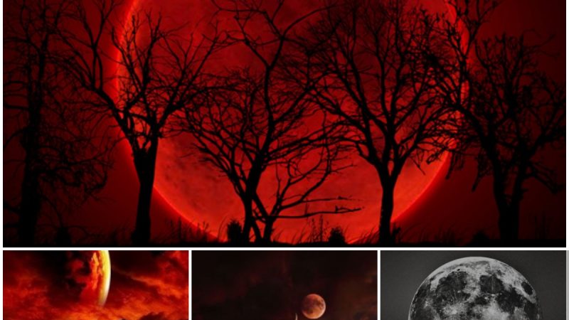 Stay Alert for the Ominous Blood Moon on the Horizon! StayVigilant